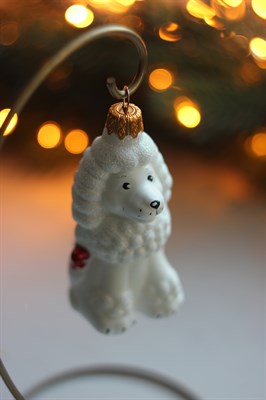 Белый пудель ГФ-722