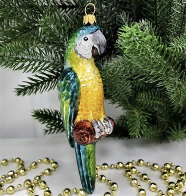 Жёлтый попугай 1012061