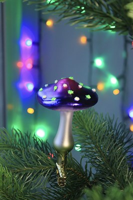 Фиолетовый гриб 2728