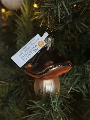 Белый гриб 3025