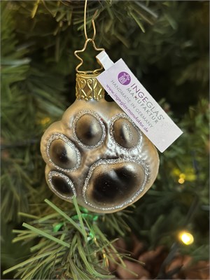 Кошачья лапка. 2456