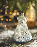 Медведица 2256